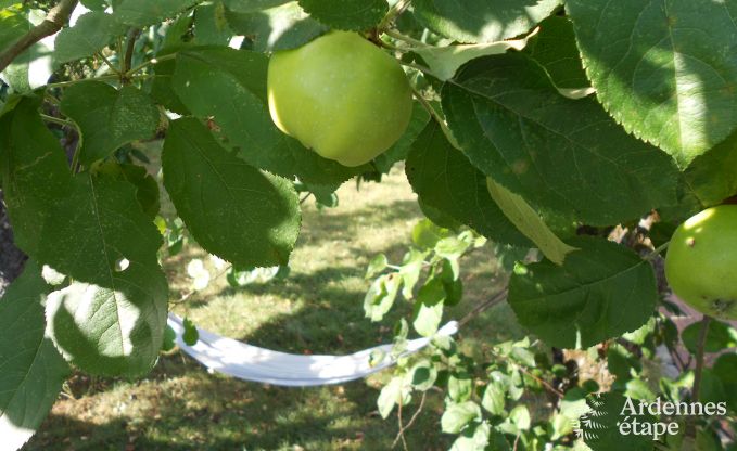 Vacances  la ferme  Stavelot pour 4 personnes en Ardenne