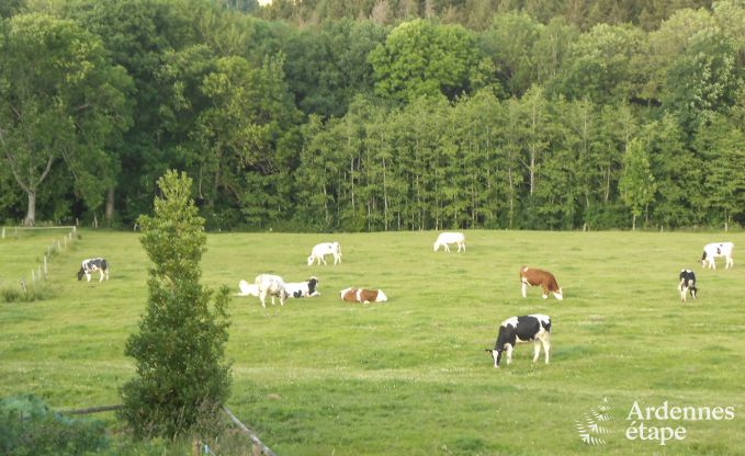 Vacances  la ferme  Stavelot pour 4 personnes en Ardenne