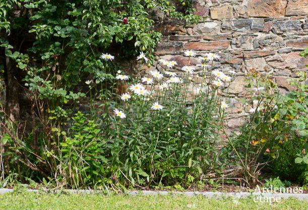 Villa de Luxe � Stavelot pour 14 personnes en Ardenne