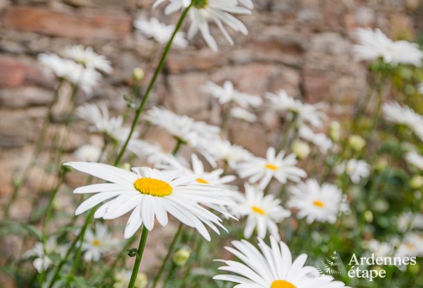 Villa de Luxe � Stavelot pour 14 personnes en Ardenne