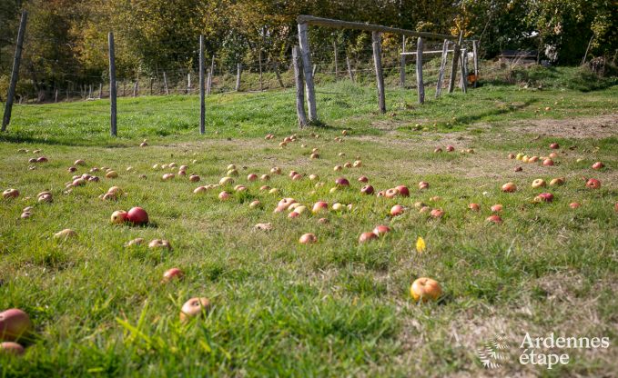 Chalet  Stavelot pour 2 personnes en Ardenne
