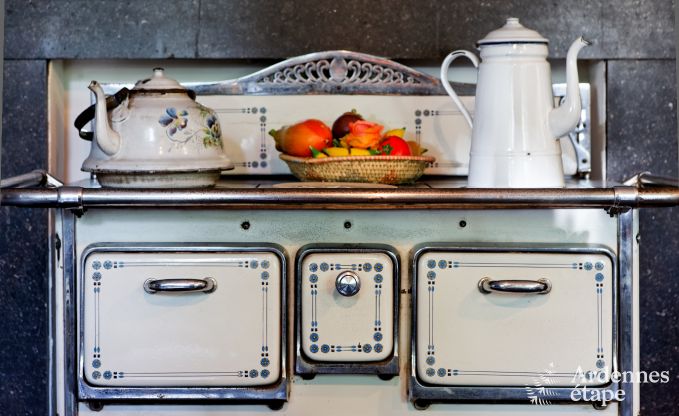 Chteau de luxe en Ardenne pour 28 personnes  Stavelot avec sauna, jacuzzi et aire de jeux