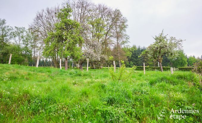 Maison de vacances spacieuse et confortable � Stavelot, Hautes Fagnes