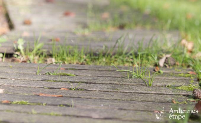Maison de vacances  Stavelot pour 4 personnes en Ardenne