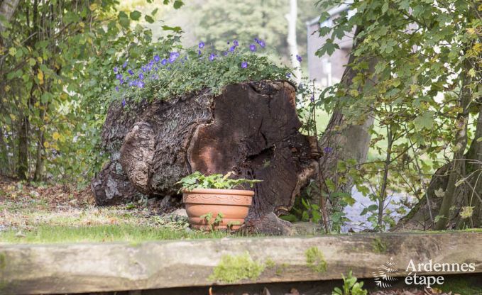 Maison de vacances  Stavelot pour 4 personnes en Ardenne