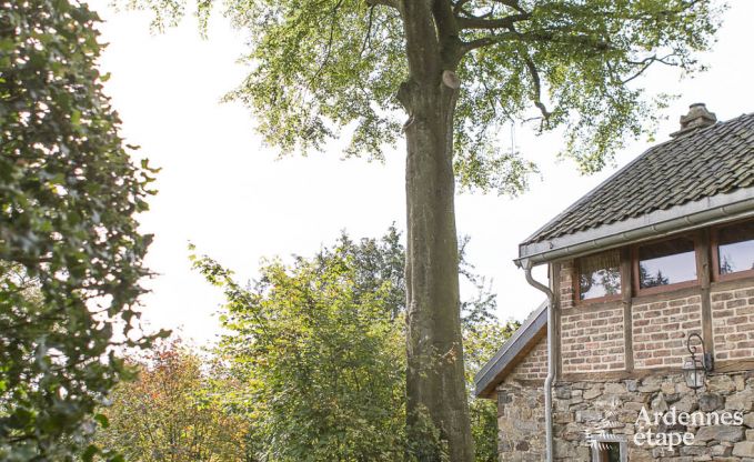 Maison de vacances  Stavelot pour 4 personnes en Ardenne