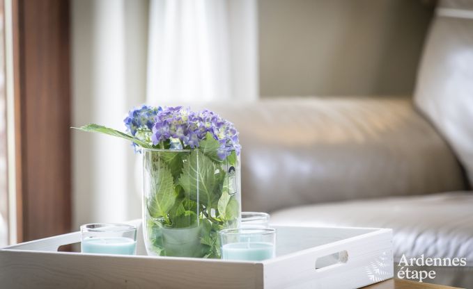 Maison de vacances � Stoumont pour 14 personnes en Ardenne