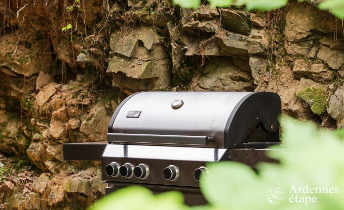 Villa de Luxe � Stoumont pour 10/14 personnes en Ardenne