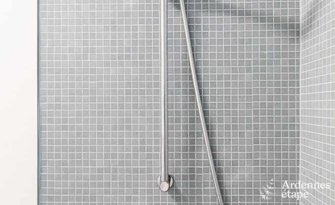 Villa de Luxe � Stoumont pour 10/14 personnes en Ardenne