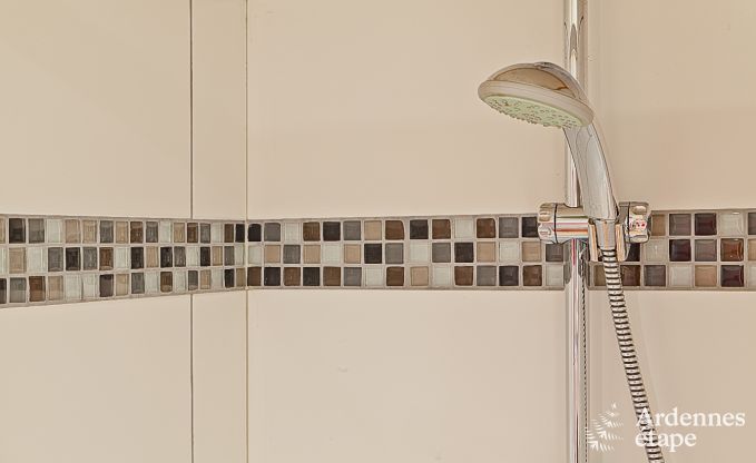 Villa de Luxe � Stoumont pour 20 personnes en Ardenne