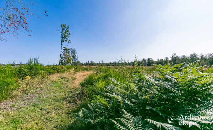 Maison de vacances  Stoumont pour 6 personnes en Ardenne