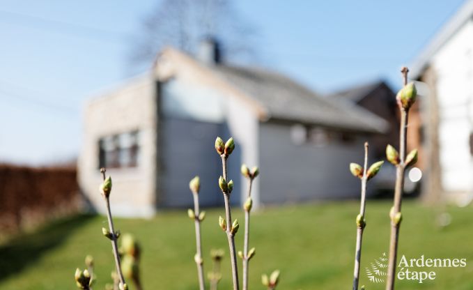Maison de vacances � Stoumont pour 2 personnes en Ardenne