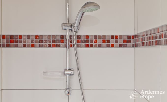 Villa de Luxe � Stoumont pour 30 personnes en Ardenne