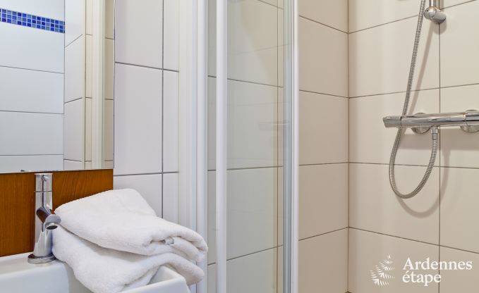 Villa de Luxe � Stoumont pour 30 personnes en Ardenne