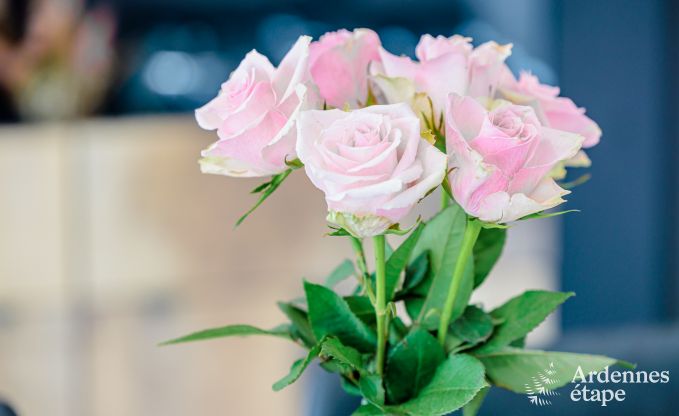 G�te insolite � Tellin pour 2/3 personnes en Ardenne