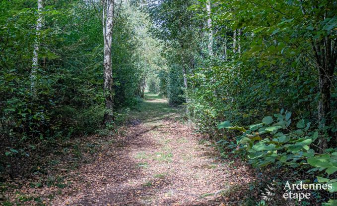 Chalet convivial  Tenneville pour 4 personnes/3 adultes avec 2 chambres, salle de jeux, coin bb et vue panoramique