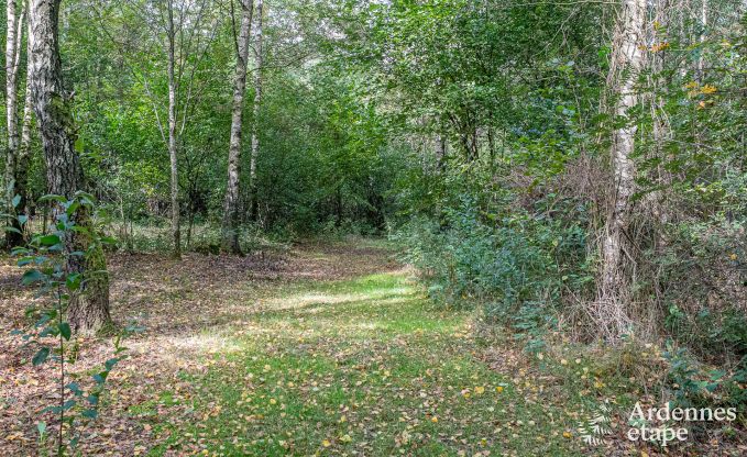 Chalet convivial  Tenneville pour 4 personnes/3 adultes avec 2 chambres, salle de jeux, coin bb et vue panoramique