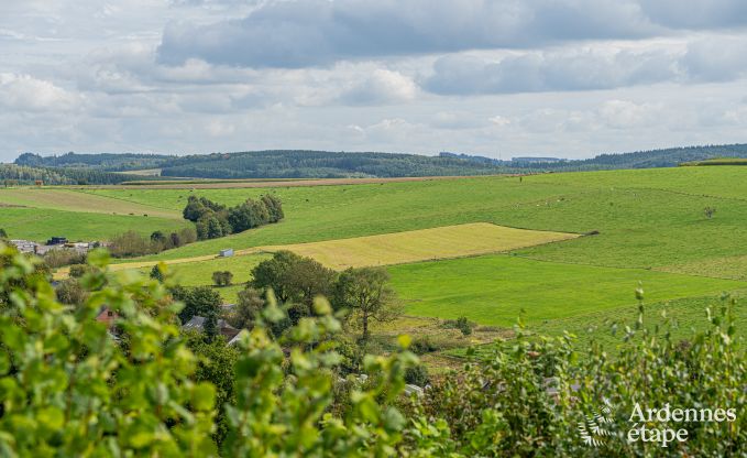 Chalet convivial  Tenneville pour 4 personnes/3 adultes avec 2 chambres, salle de jeux, coin bb et vue panoramique