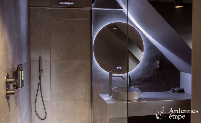 Magnifique ch�teau pour 18 personnes � Tenneville, Ardenne