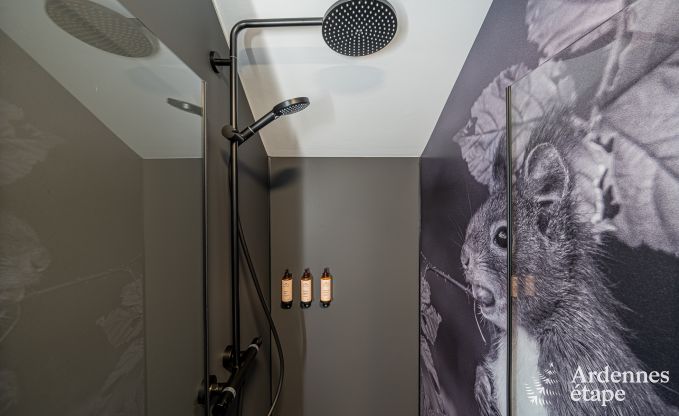 Maison de vacances � Tenneville pour 10 personnes en Ardenne