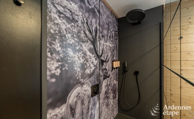 Maison de vacances � Tenneville pour 10 personnes en Ardenne