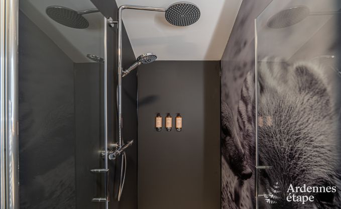 Maison de vacances � Tenneville pour 10 personnes en Ardenne