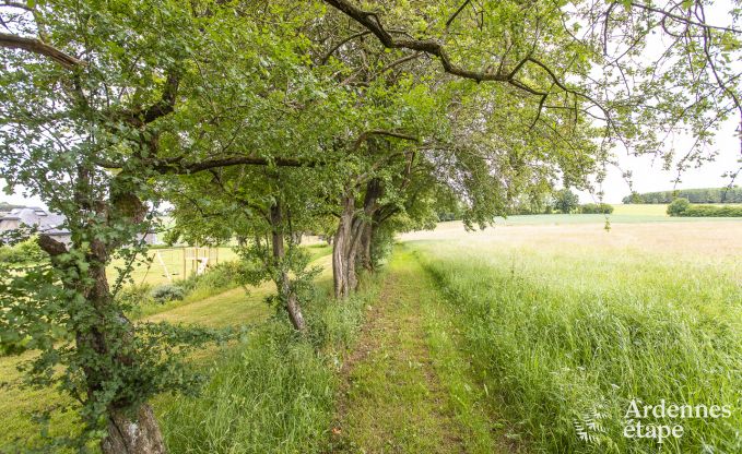 Villa de Luxe � Tenneville pour 28 personnes en Ardenne