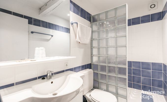 Villa de Luxe � Tenneville pour 26 personnes en Ardenne