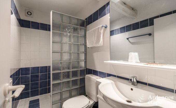 Villa de Luxe � Tenneville pour 26 personnes en Ardenne