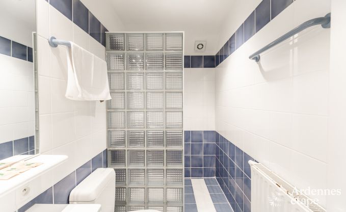 Villa de Luxe � Tenneville pour 26 personnes en Ardenne