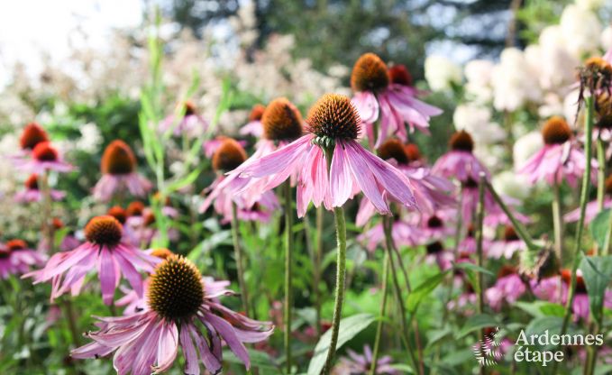 Gite de charme � Theux (Spa) pour 2 personnes en Ardenne