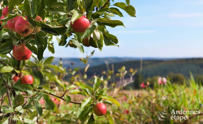 Gite de charme � Theux (Spa) pour 2 personnes en Ardenne