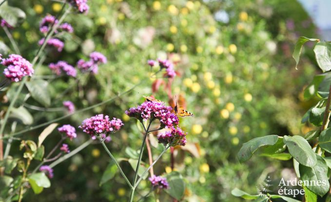 Gite de charme � Theux (Spa) pour 2 personnes en Ardenne