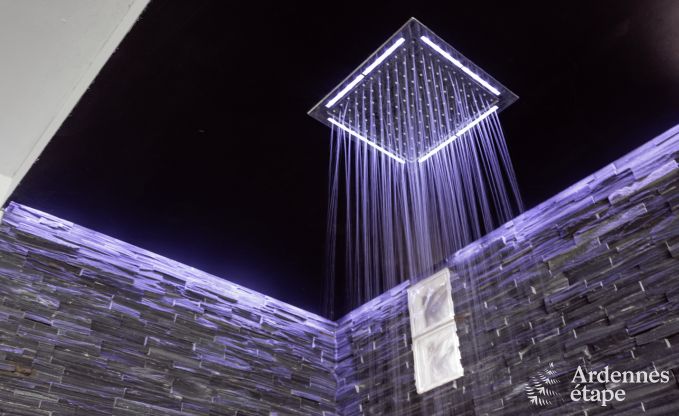 Villa de Luxe � Theux pour 2/5 personnes en Ardenne