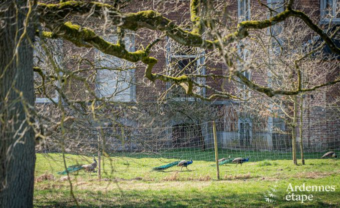 Villa de luxe  Theux pour 10 personnes avec salle de jeux, jacuzzi et proximit de Spa-Francorchamps