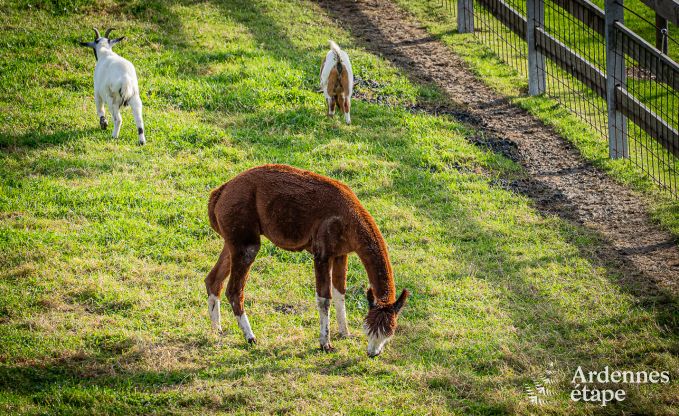 Loft � Thimister-Clermont pour 2 personnes en Ardenne