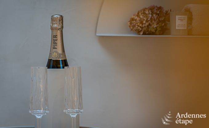 Luxueux loft confortable pour 4 personnes � Thimister-Clermont