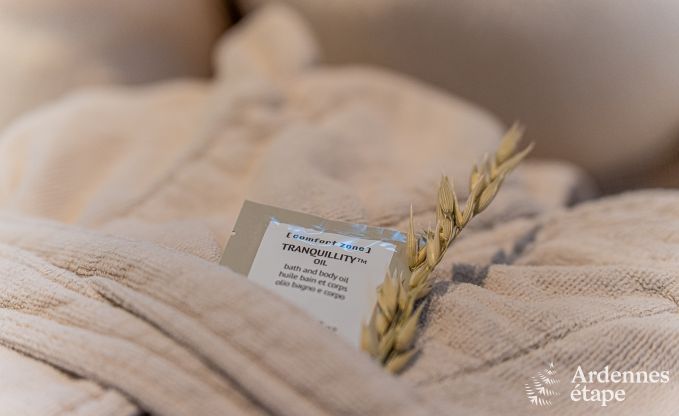 Luxueux loft confortable pour 4 personnes � Thimister-Clermont