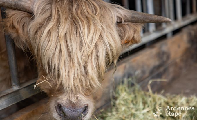 Gite de charme � Thimister-Clermont pour 4/6 personnes en Ardenne