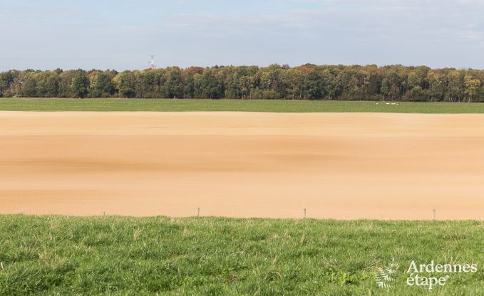 Maison de vacances � Tinlot pour 4 personnes en Ardenne