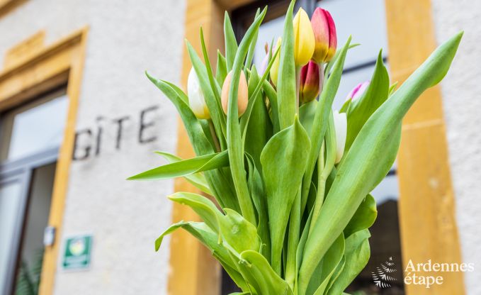 Maison de vacances � Torgny pour 15 personnes en Ardenne