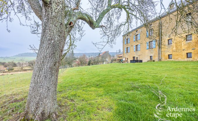 Maison de vacances � Torgny pour 15 personnes en Ardenne