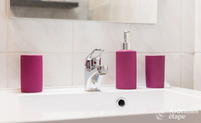 Appartement � Trois-Ponts pour 2/4 personnes en Ardenne