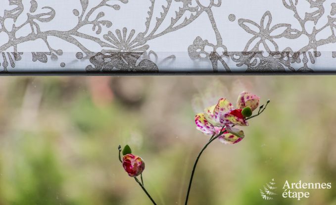 Chalet � Trois-Ponts pour 4 personnes en Ardenne