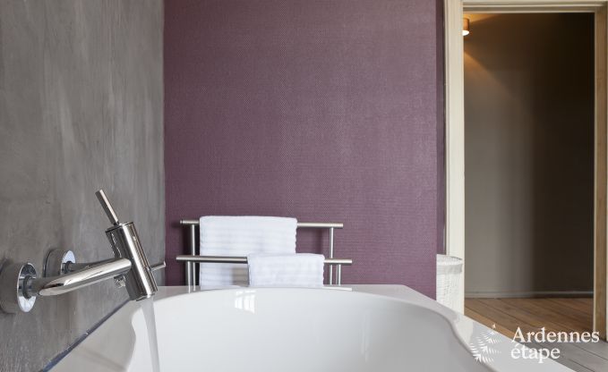 Ch�teau � Trois-Ponts pour 14 personnes en Ardenne