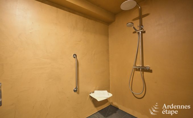 Spacieuse et luxueuse maison de vacances avec piscine � Trois-Ponts, Ardenne