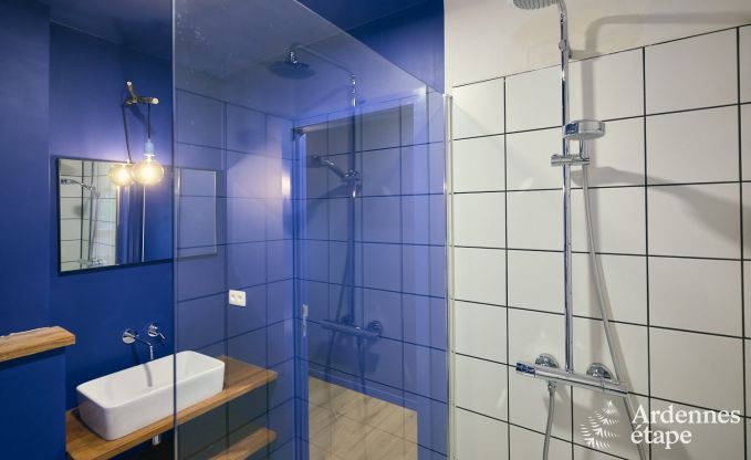 Spacieuse et luxueuse maison de vacances avec piscine � Trois-Ponts, Ardenne