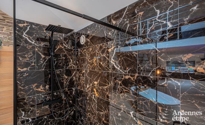 Suite de vacances charmante avec sauna  Trois-Ponts.