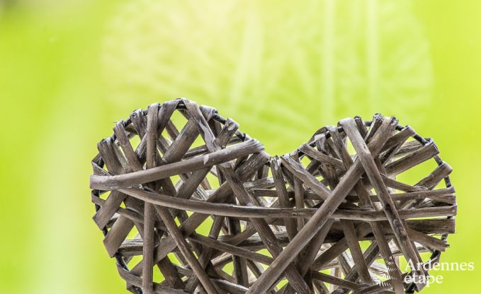 Chalet  Trois-Ponts pour 4 personnes en Ardenne