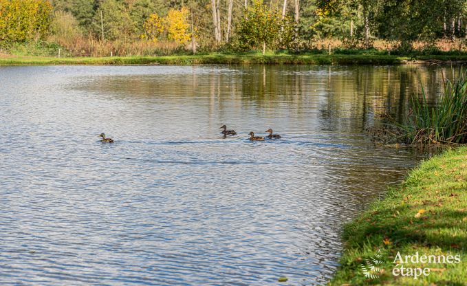 Chalet spacieux pour 8 personnes � Trois-Ponts avec piscine int�rieure-ext�rieure, sauna et terrasse priv�e au bord de l'eau